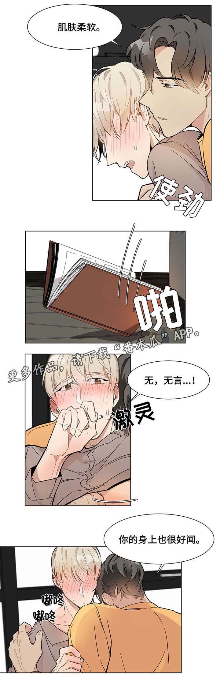第16章：照片
