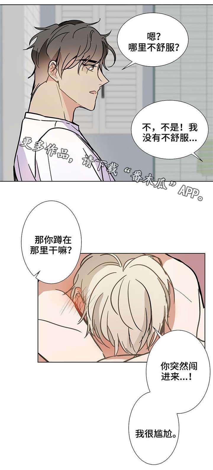 第37章：更多