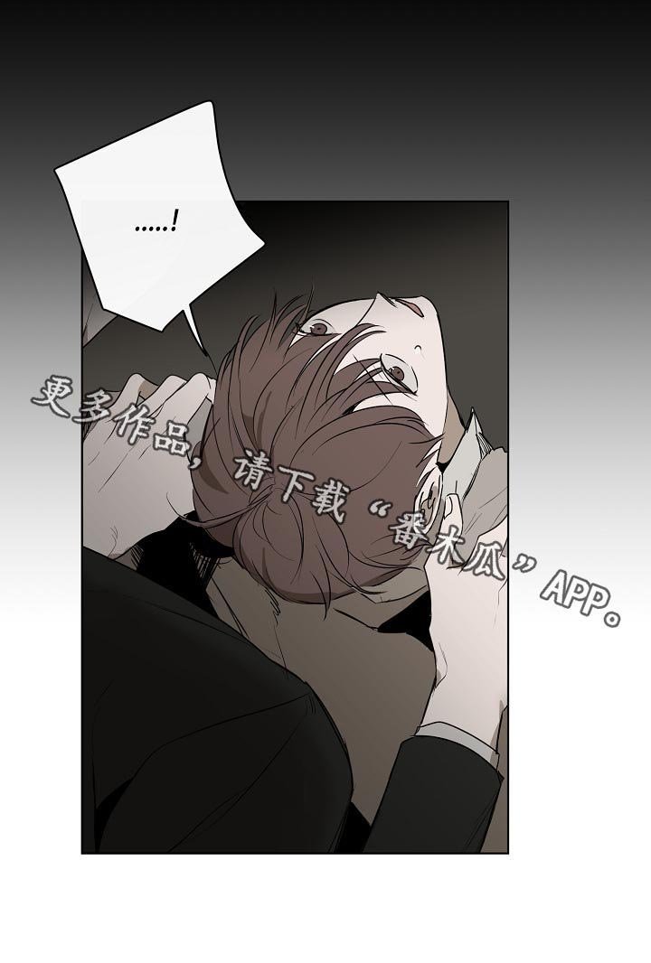 第41章：背影