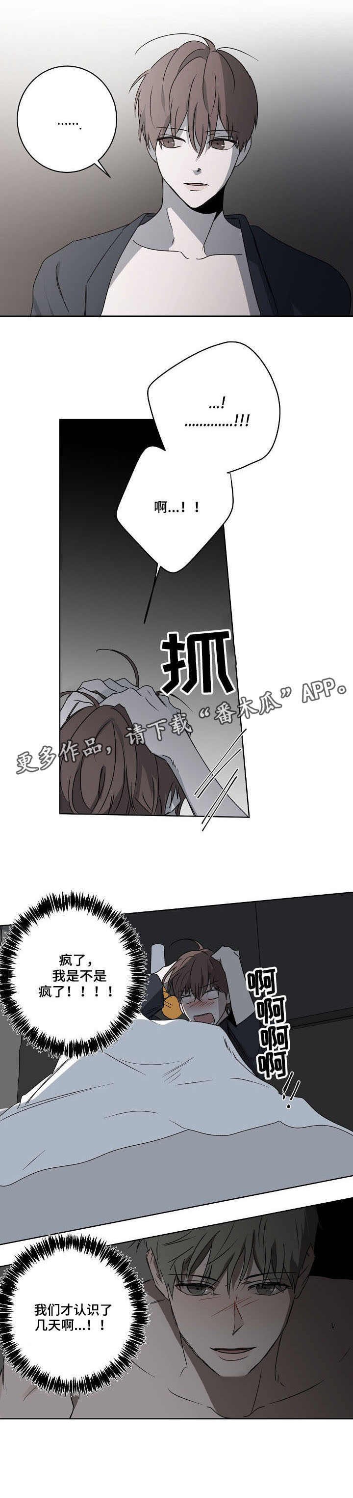 第6章：接受提议