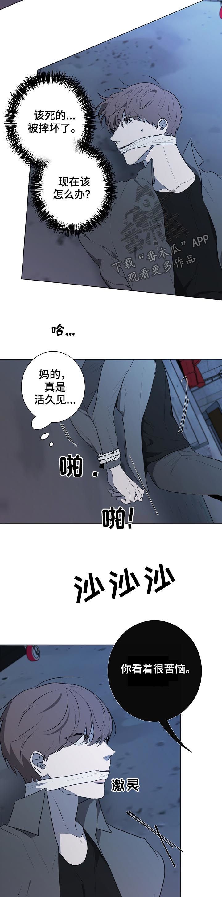 第66章：都是你的错