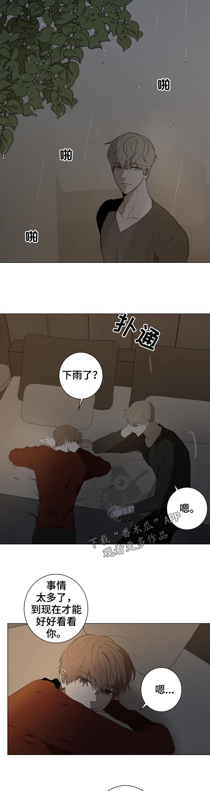 第74章： 回到正轨