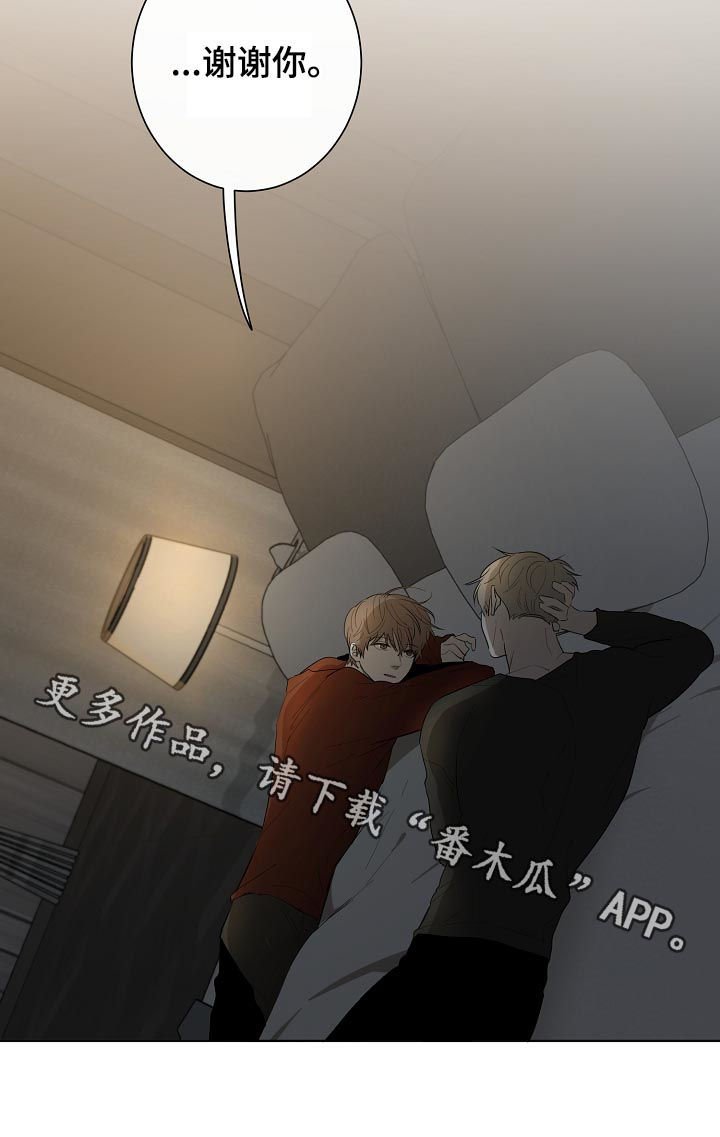 第74章： 回到正轨