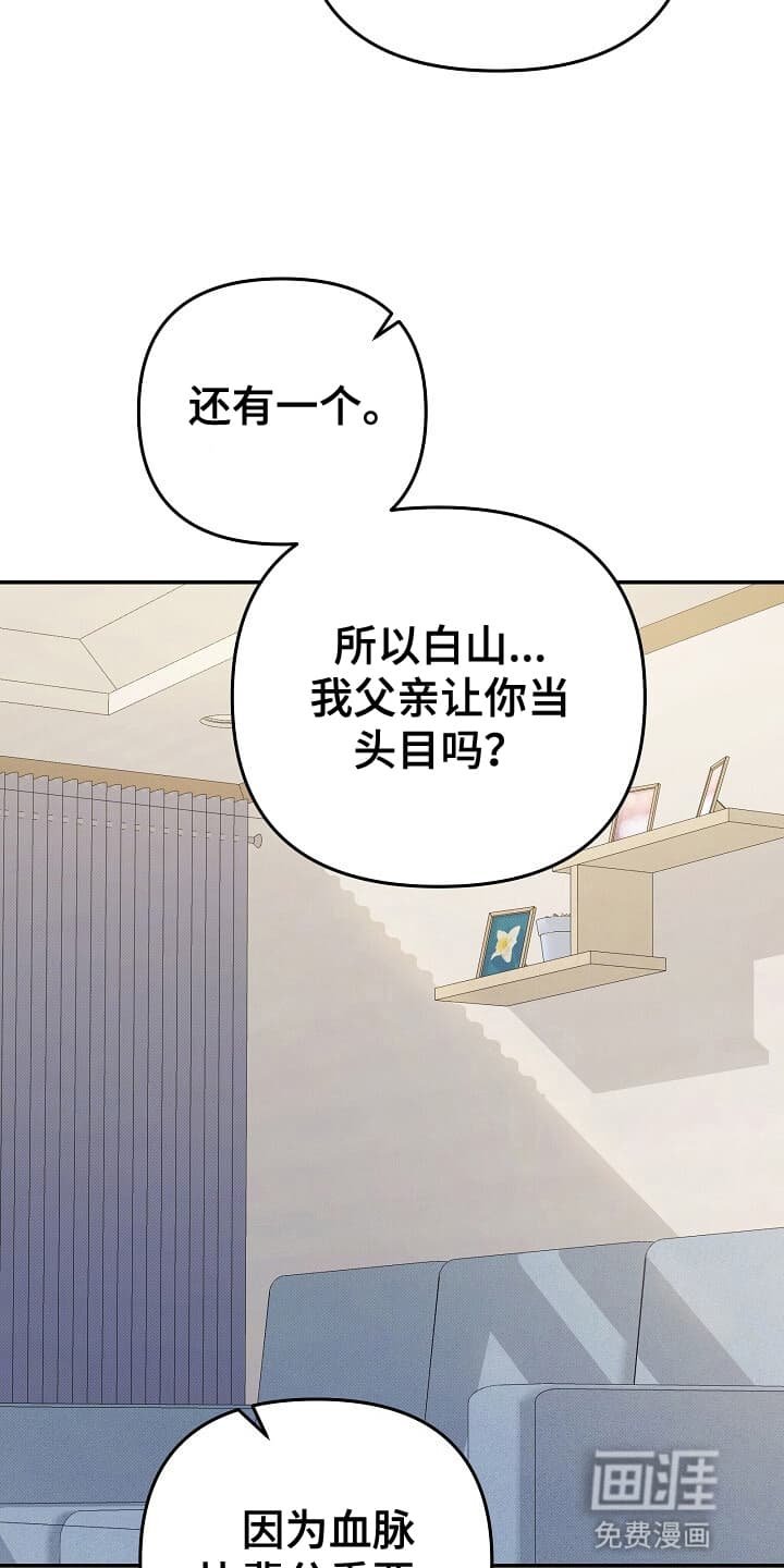 第12章：白齐派