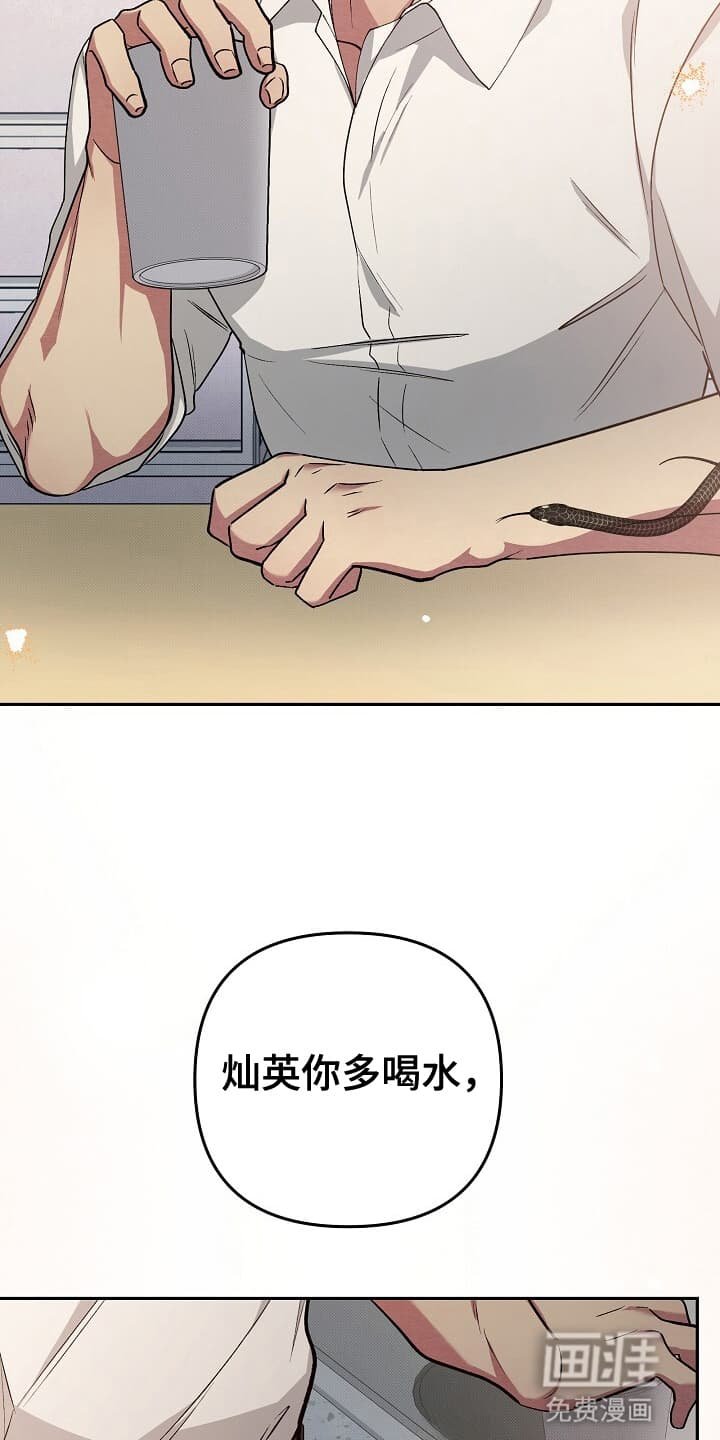 第14章：五星好评