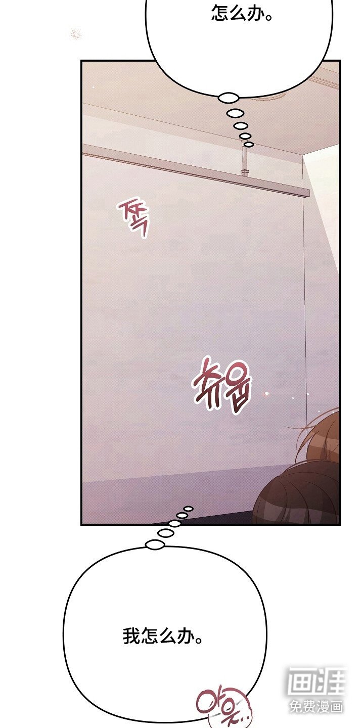 第33章：得出结论