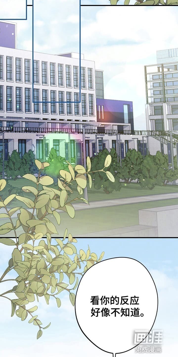 第4章：忠告