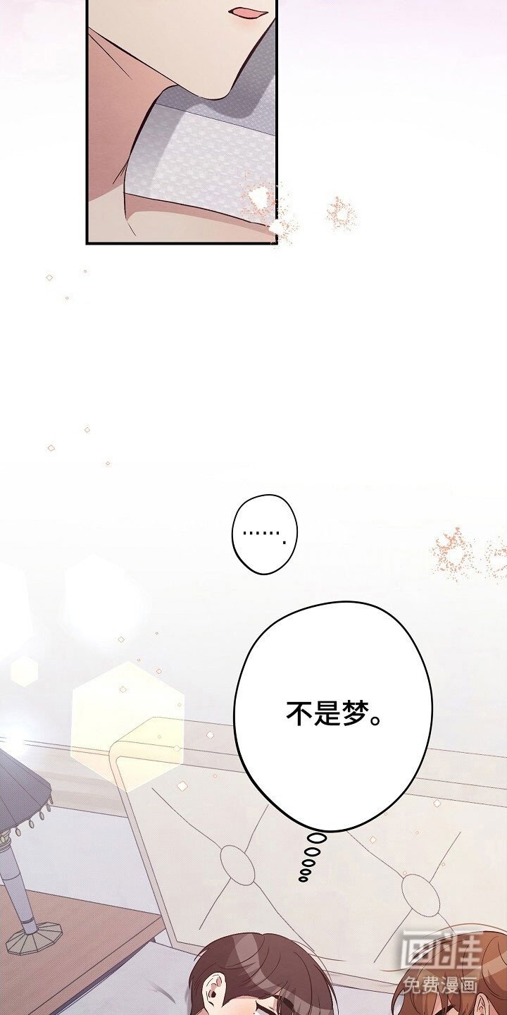 第45章：不是梦