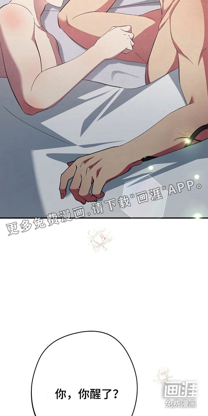 第45章：不是梦