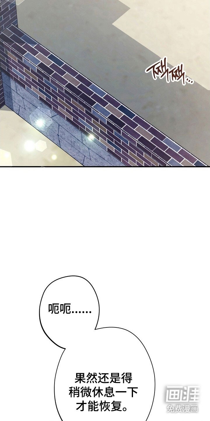 第45章：不是梦