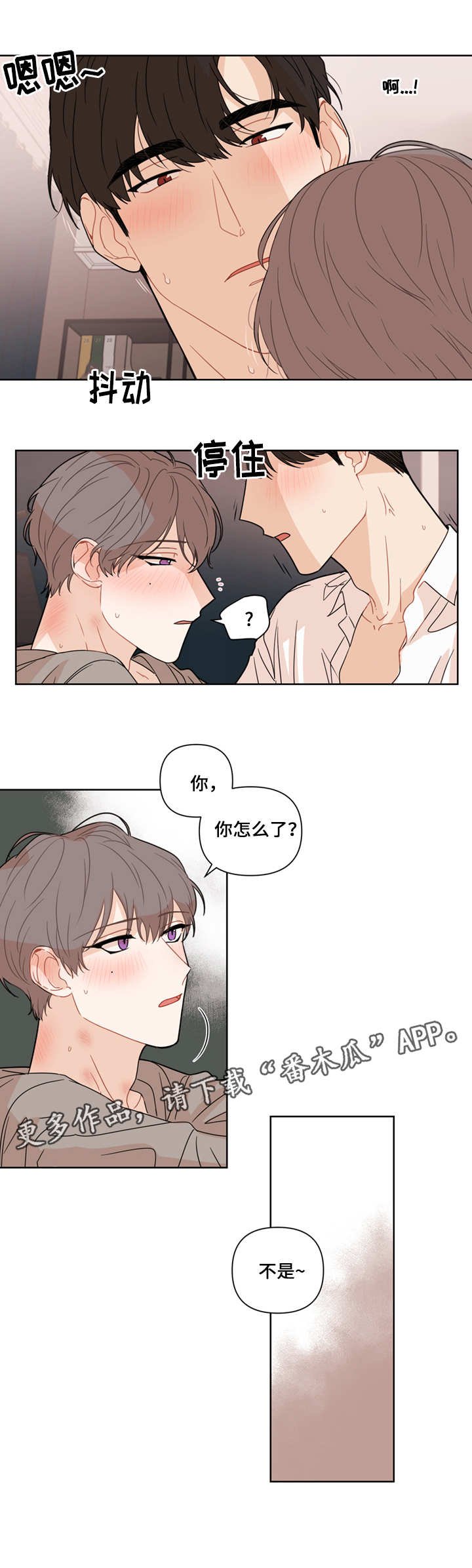 第12章：脸