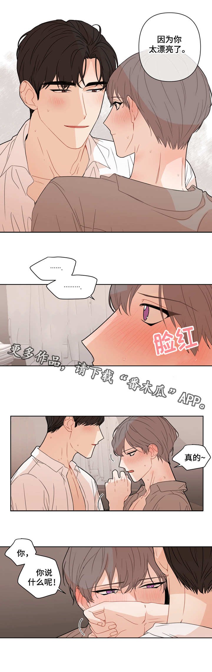 第12章：脸