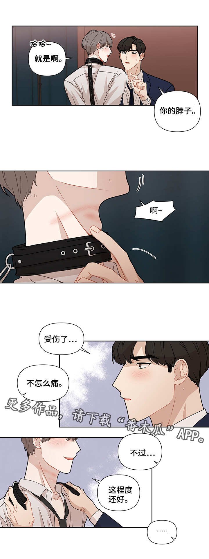 第17章：过往