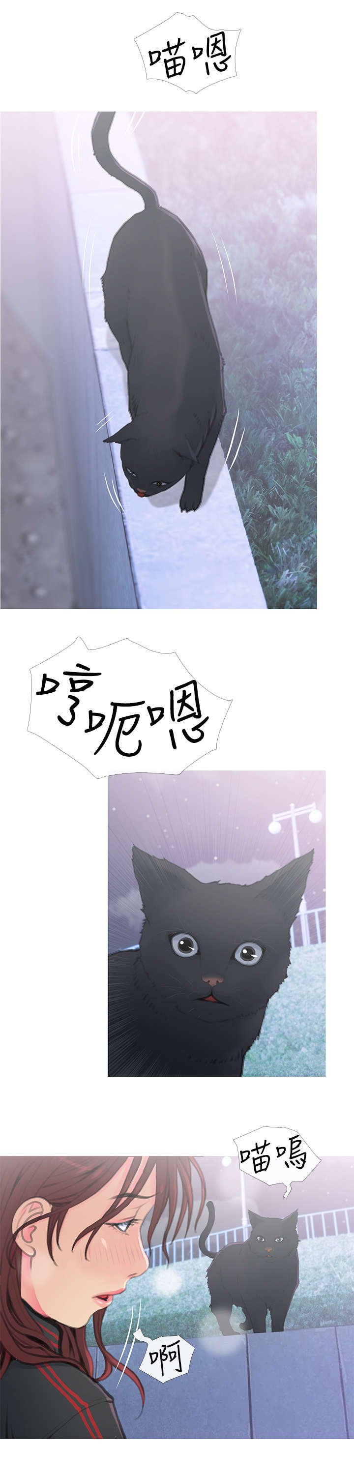 第1章：猫咪