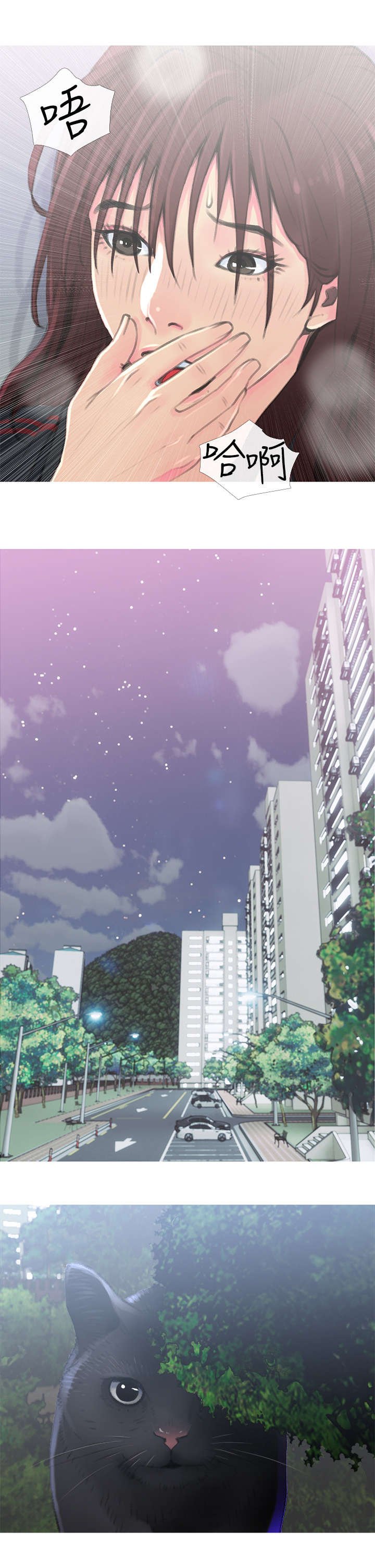 第1章：猫咪