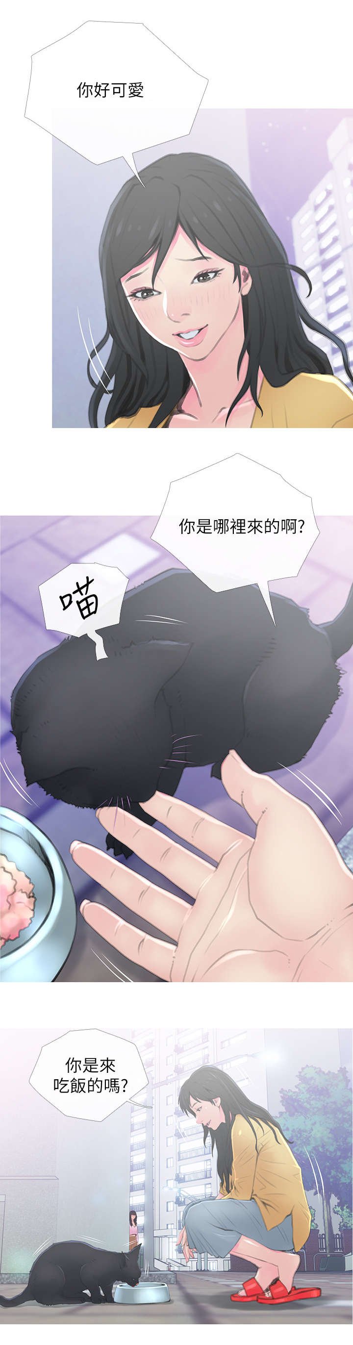 第1章：猫咪
