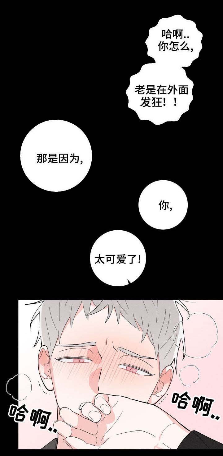 第13章：再次遇见