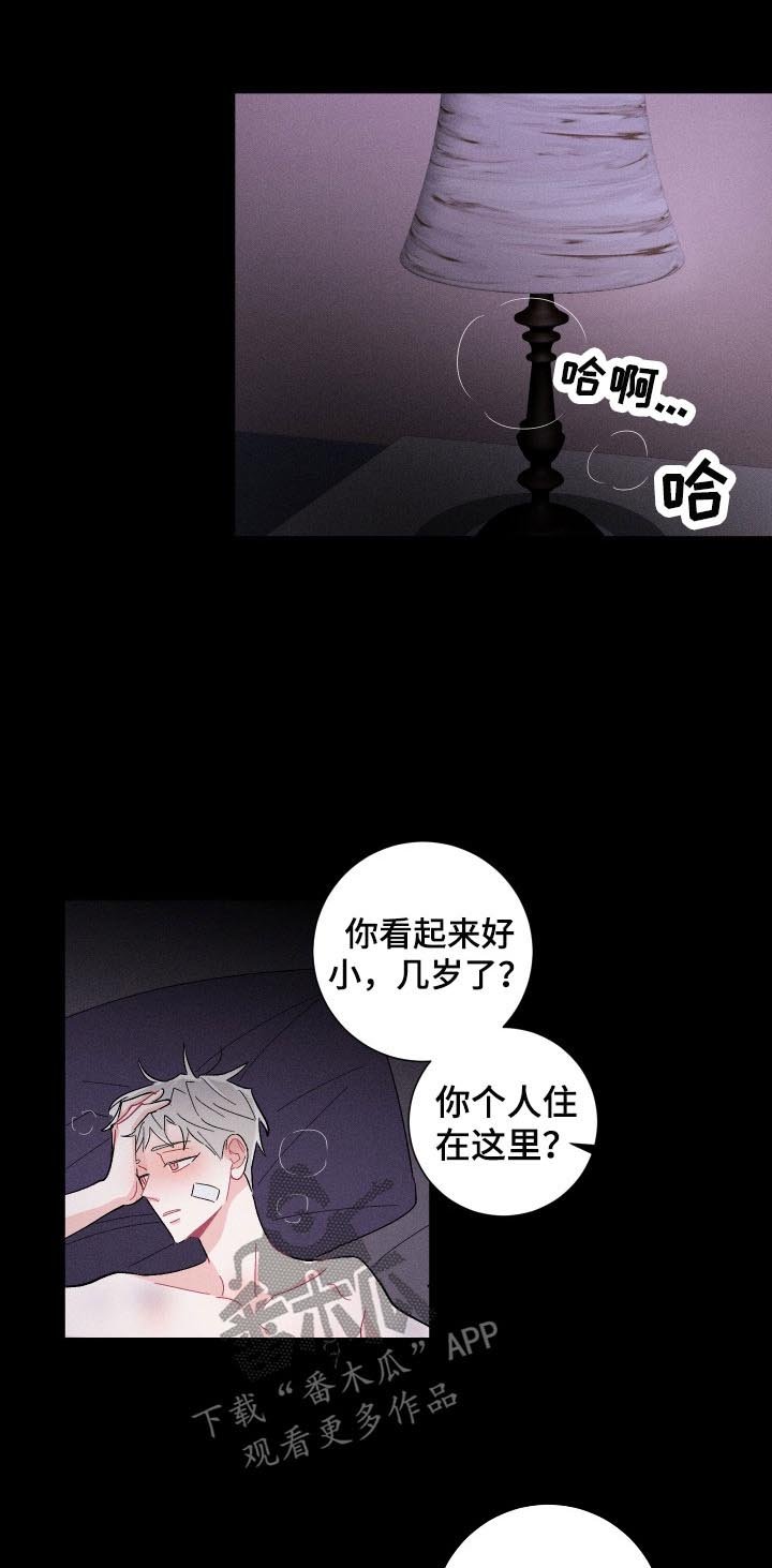 第38章：欺骗与谎言