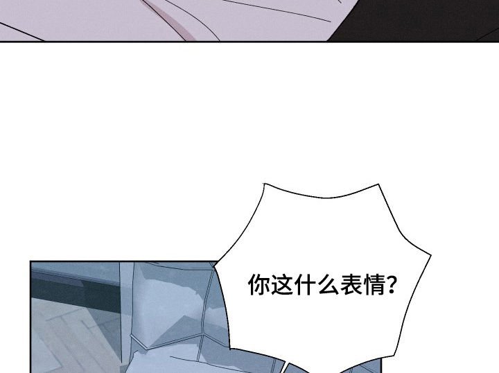 第62章：实话