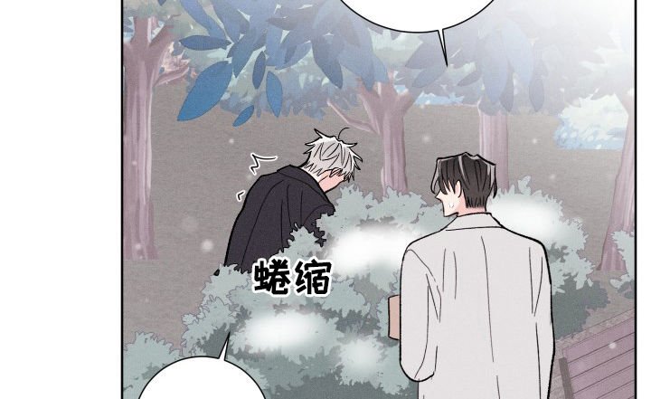 第71章：成真