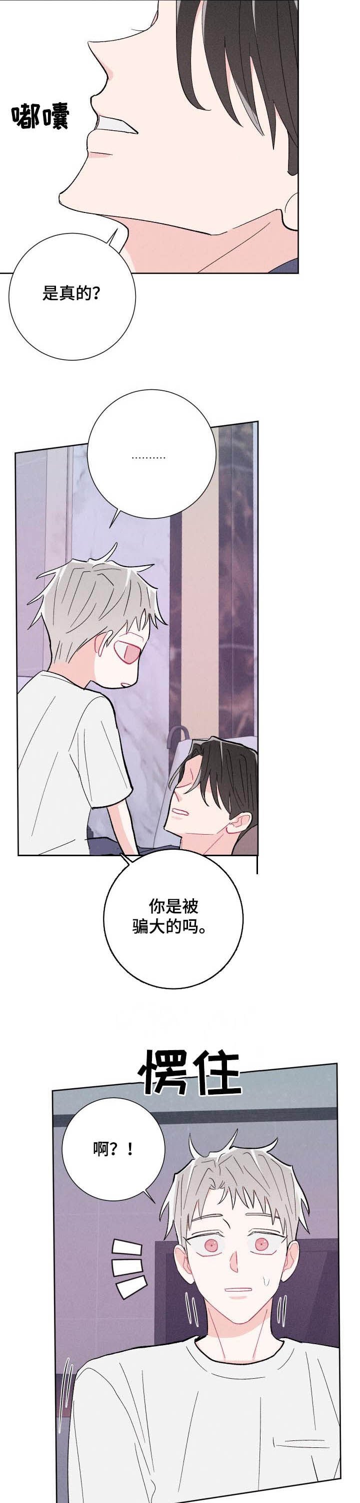 第77章：【番外】是真的吗