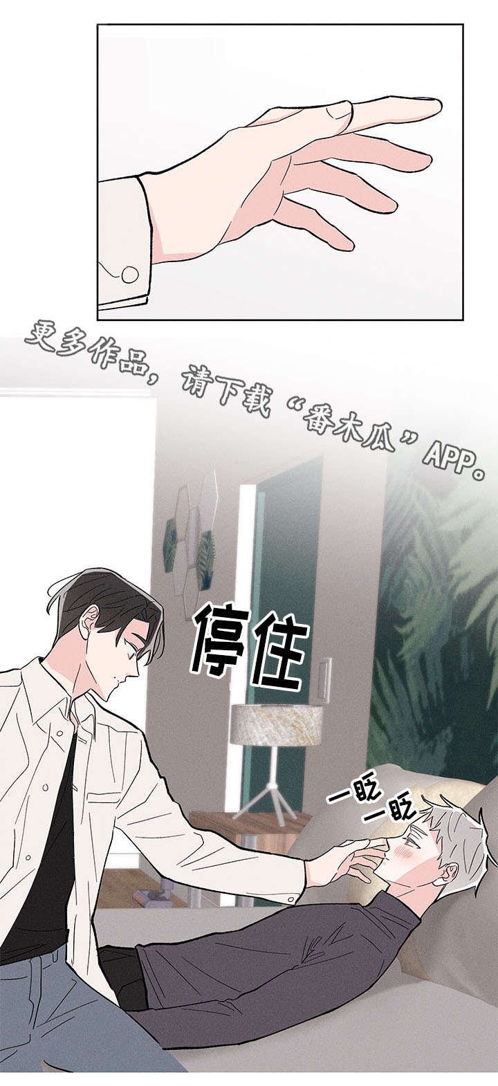 第9章：带回家