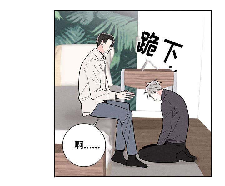 第9章：带回家