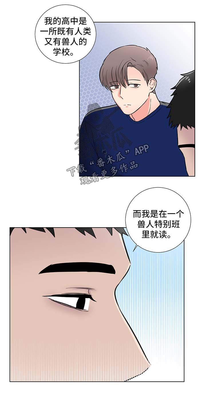 第32章：回忆
