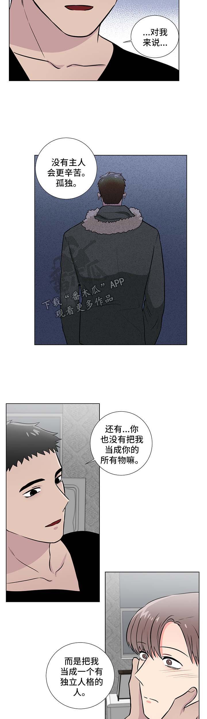 第43章：后盾