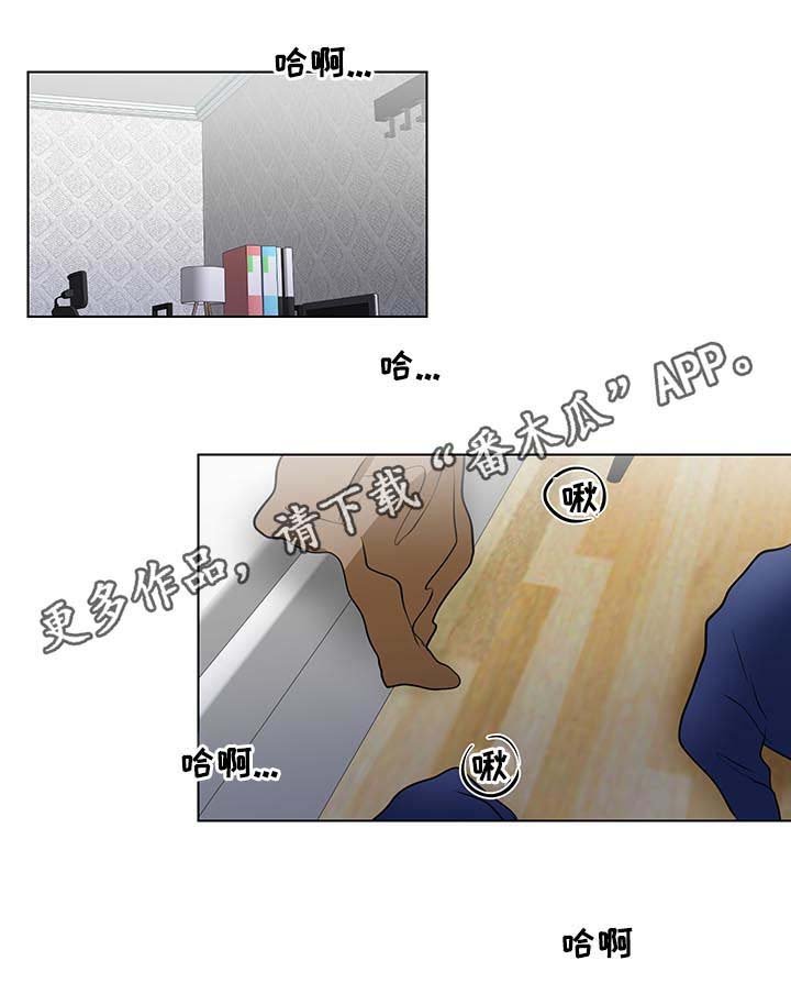 第52章：不许说不喜欢