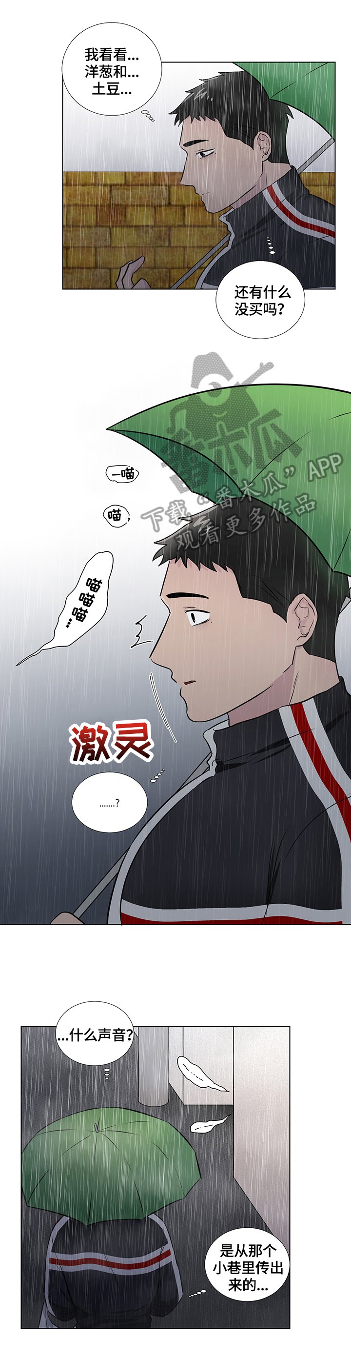 第57章：捡回一只猫