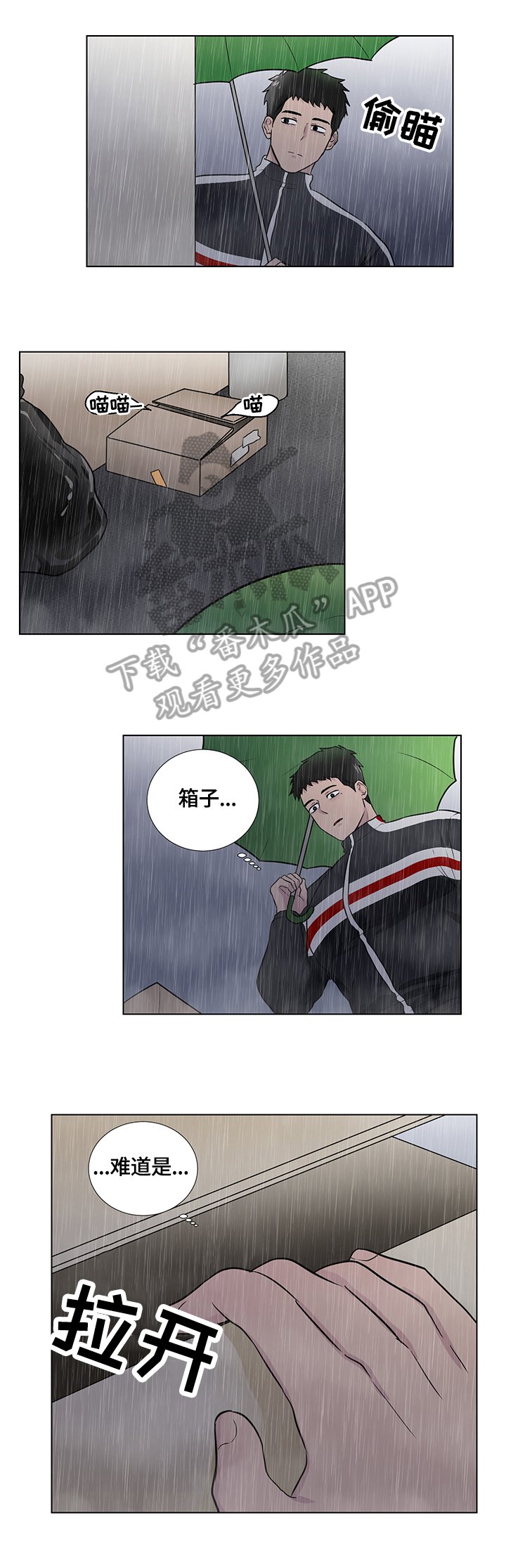 第57章：捡回一只猫