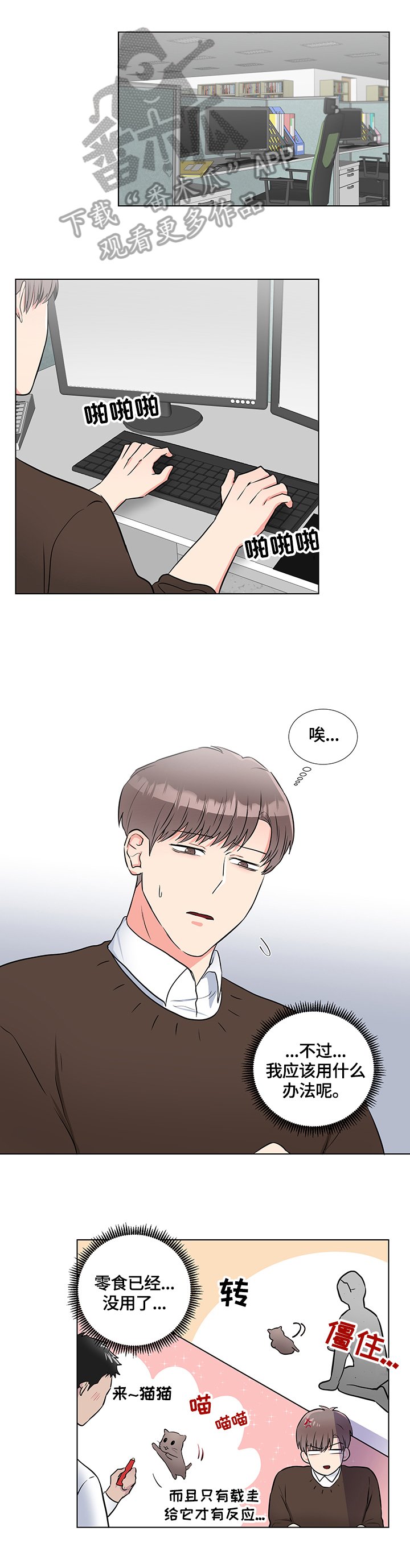 第59章：猫薄荷