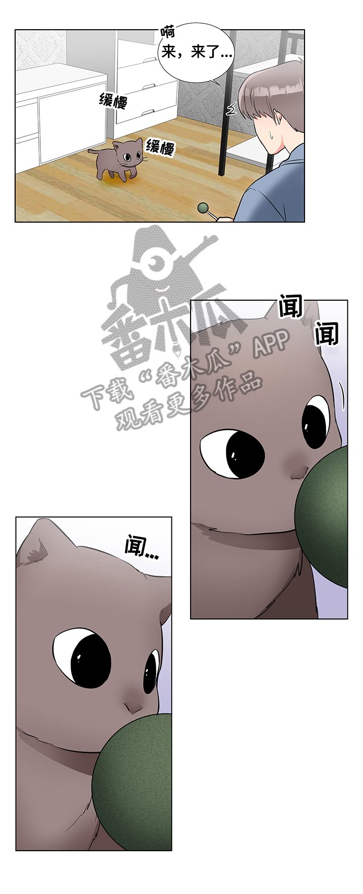 第59章：猫薄荷