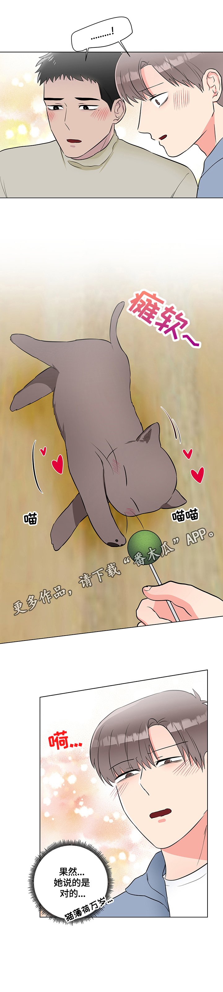 第59章：猫薄荷