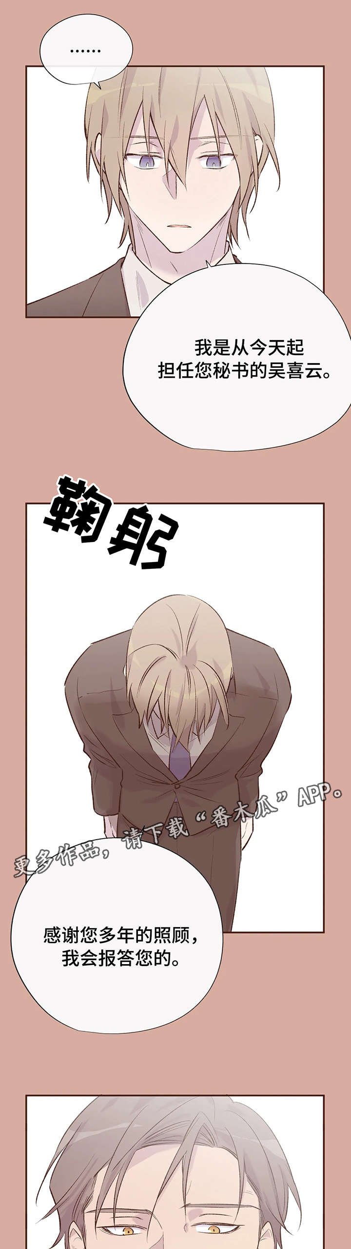 第11章：惹人爱