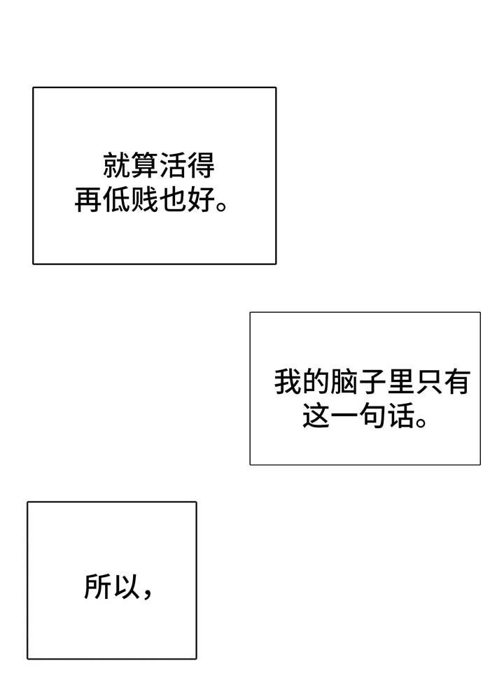 第32章：坎坷的一生
