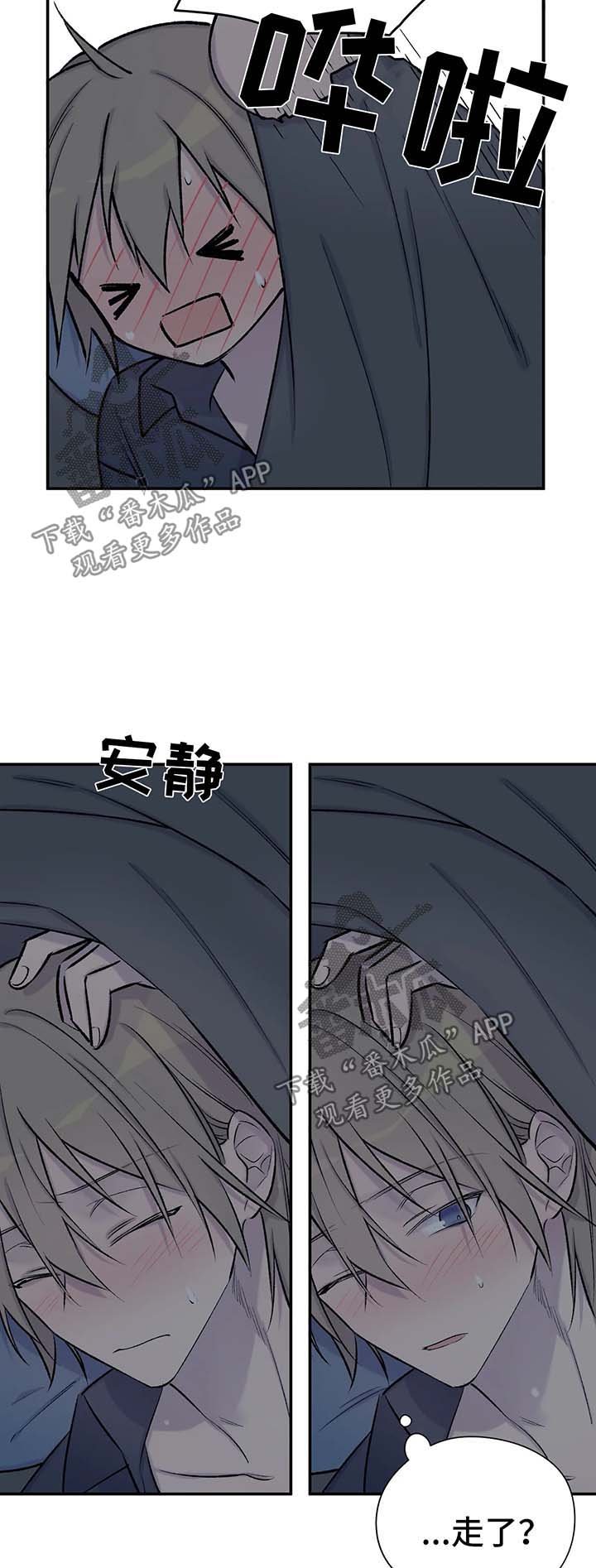 第34章：真的喜欢你