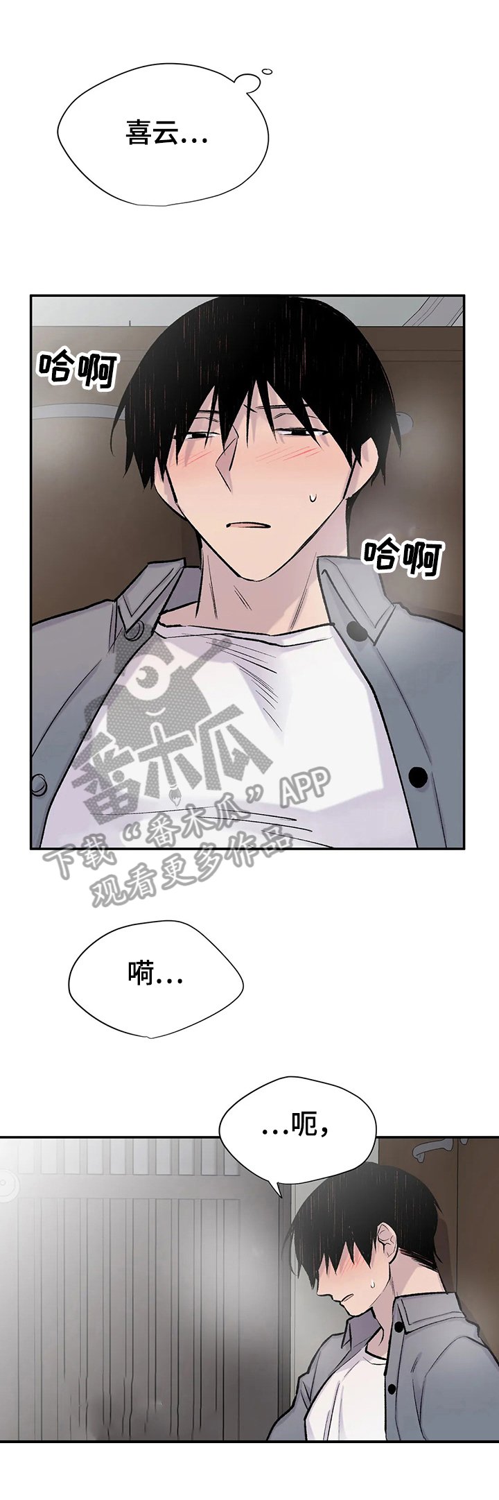第49章：决定