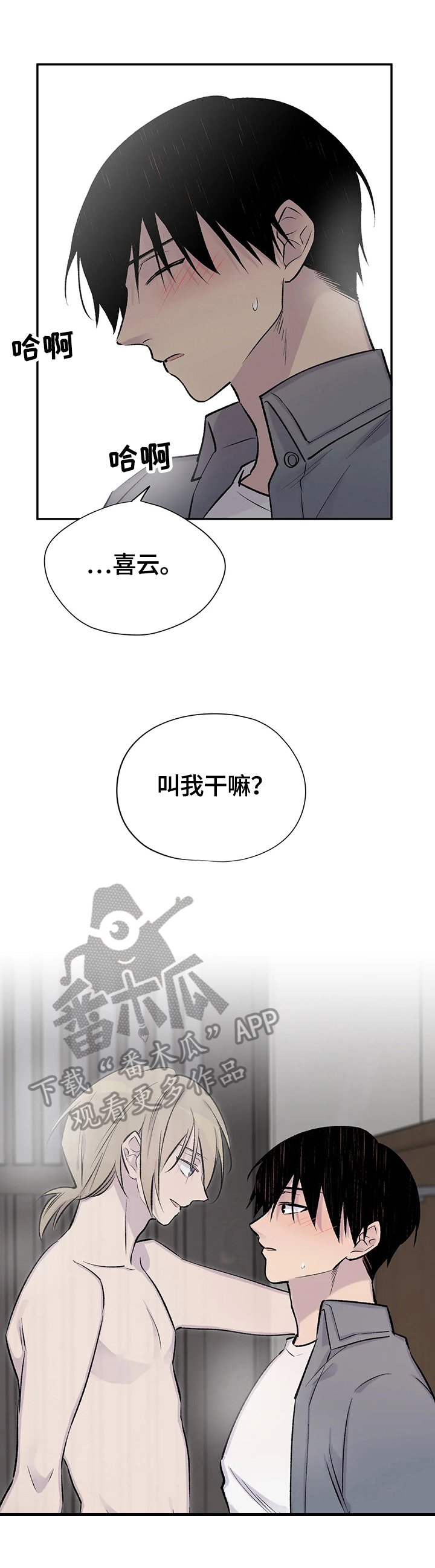 第49章：决定