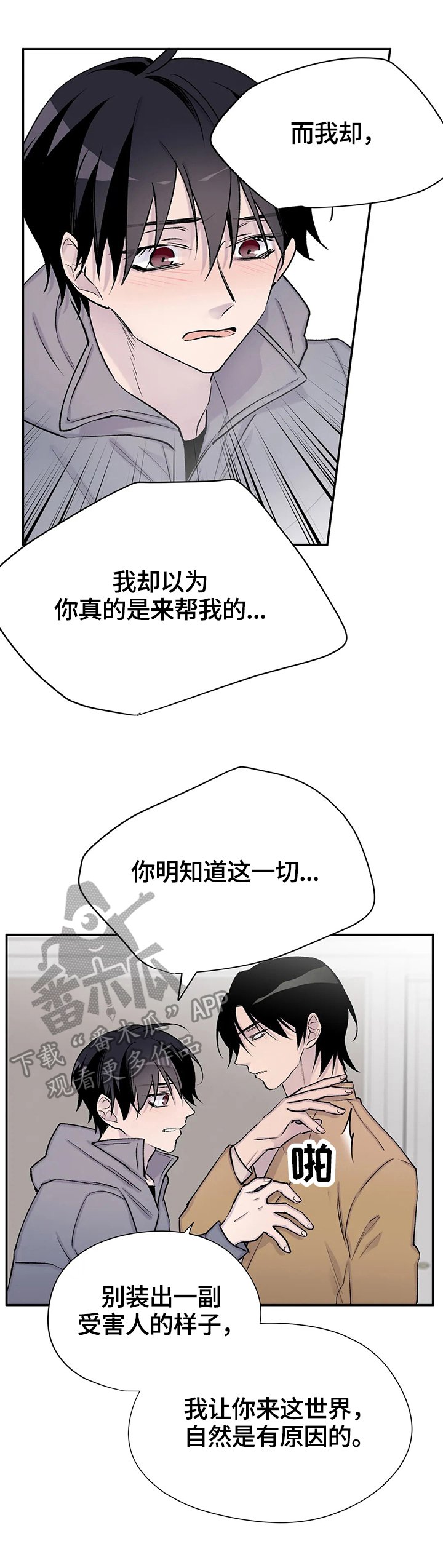 第61章：作者身份