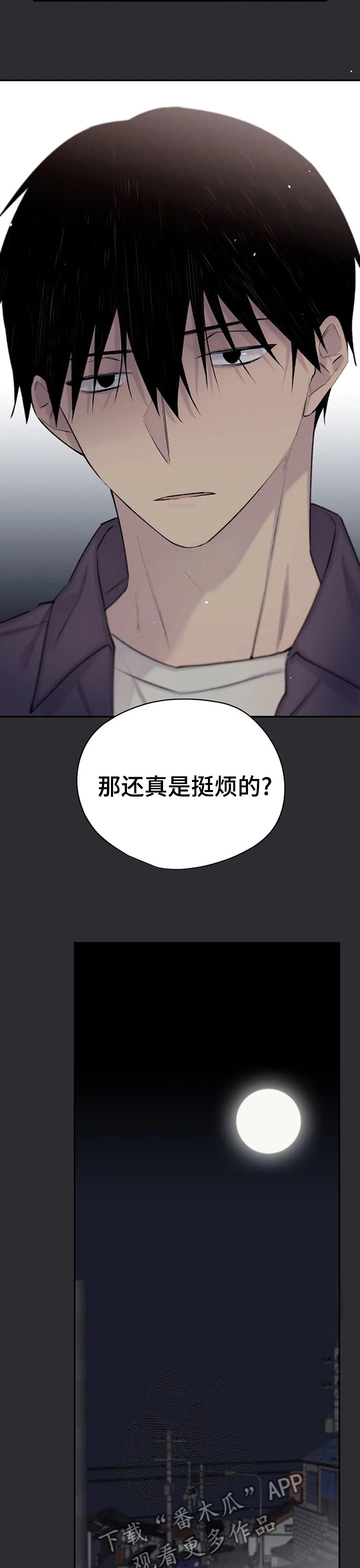 第85章：喜欢很久了