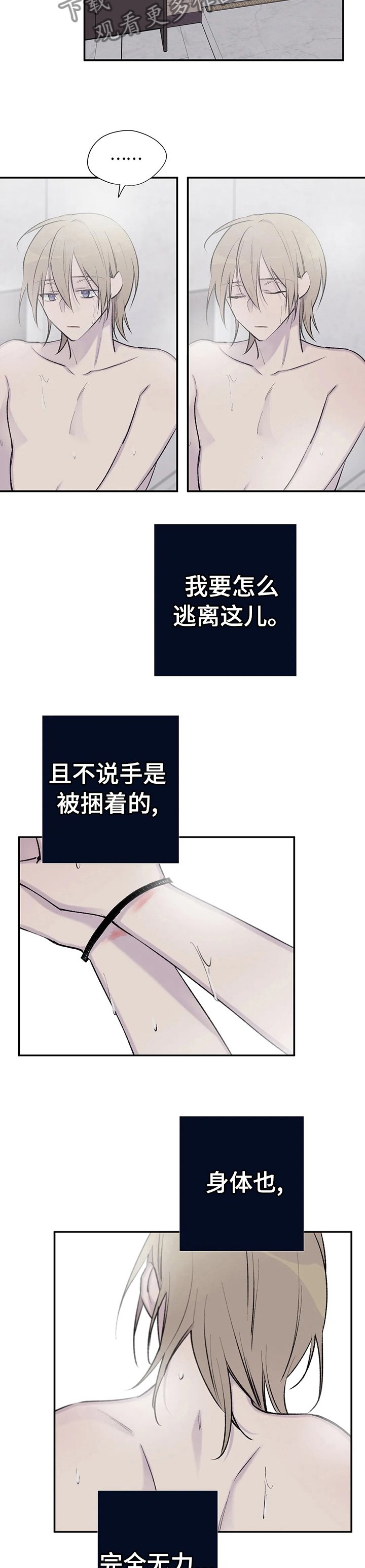 第91章：老狐狸