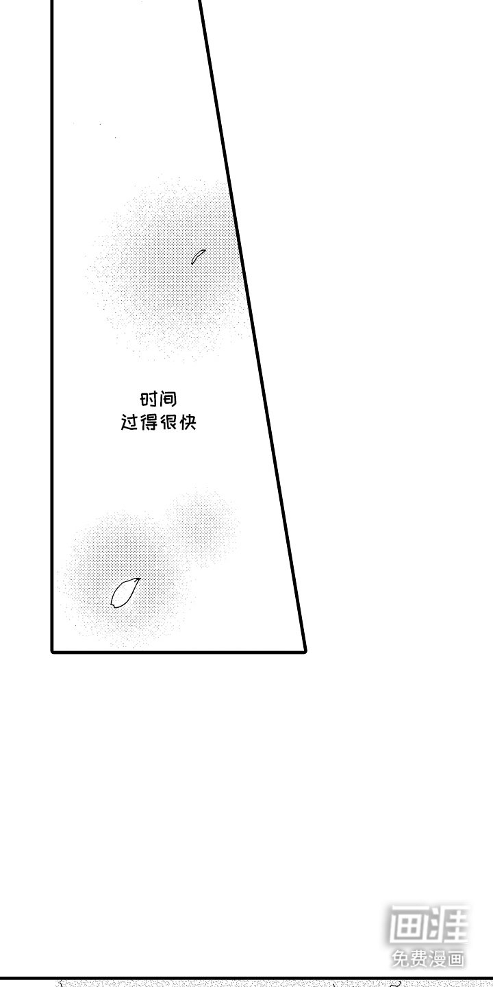 第11章：无事发生
