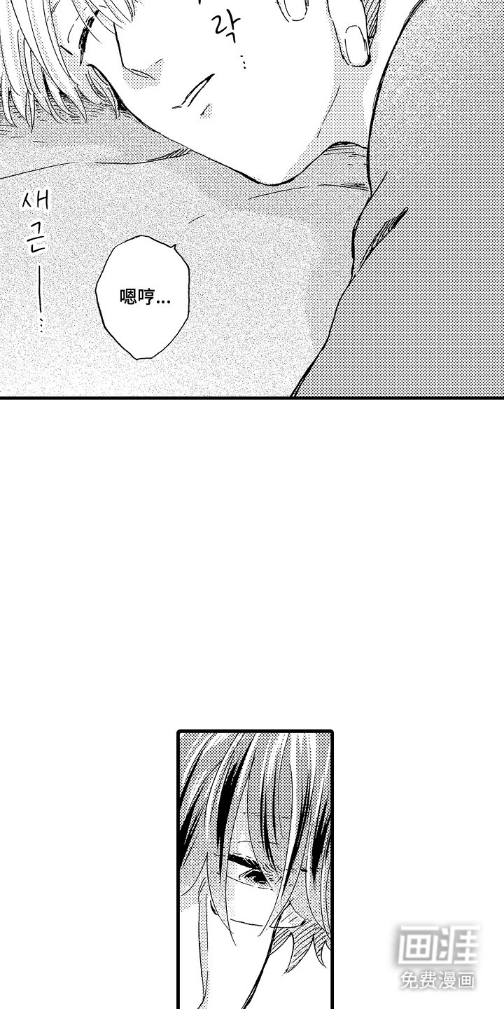 第15章：如果