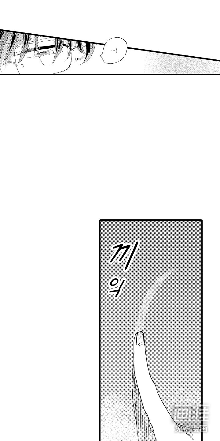 第15章：如果