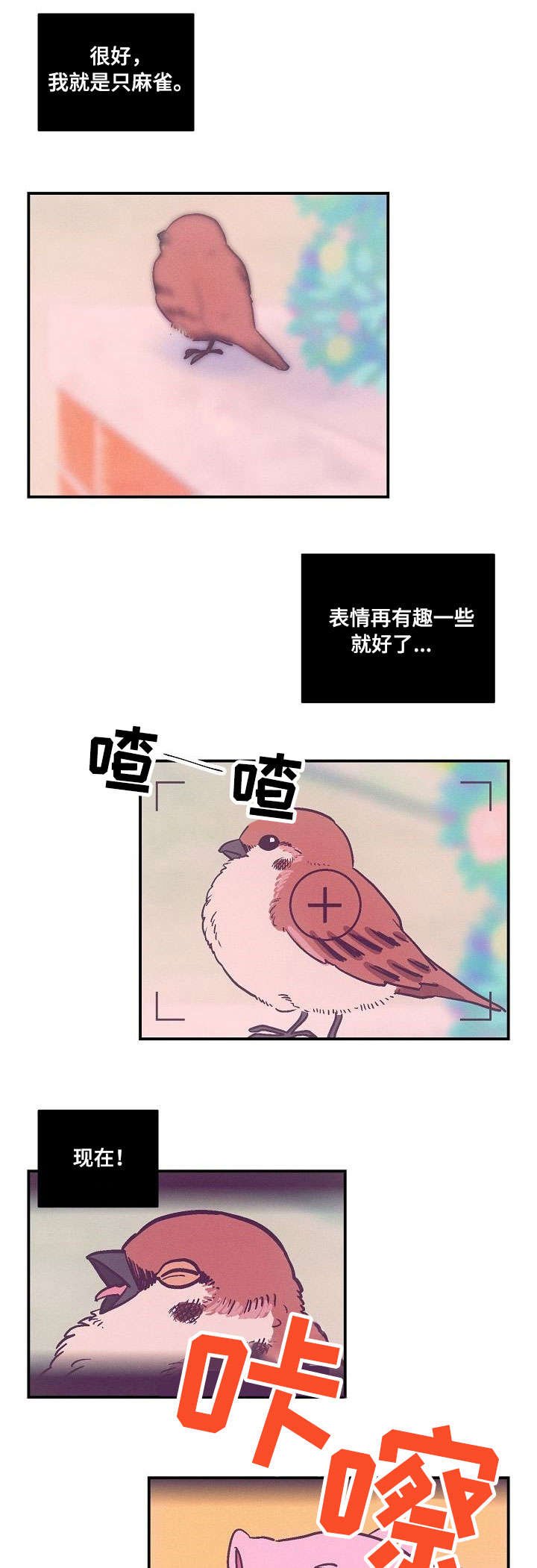 第1章：摄影展