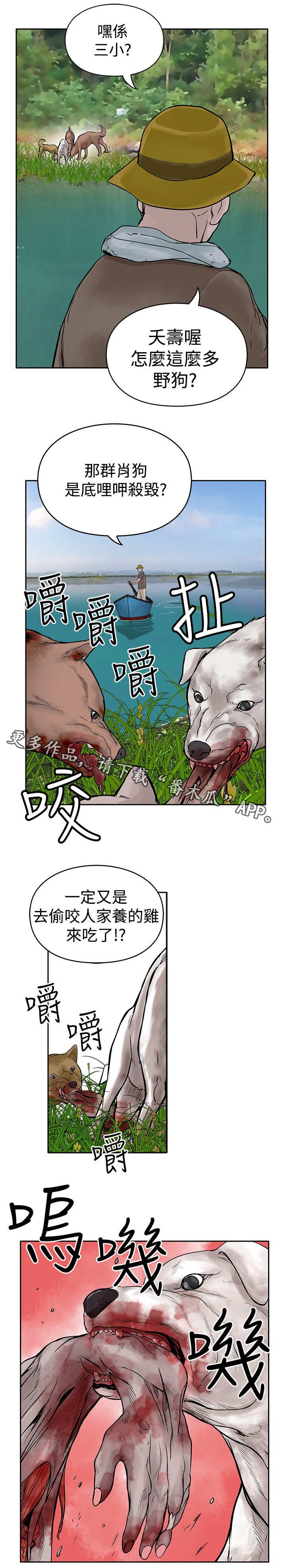 第21章：尸体