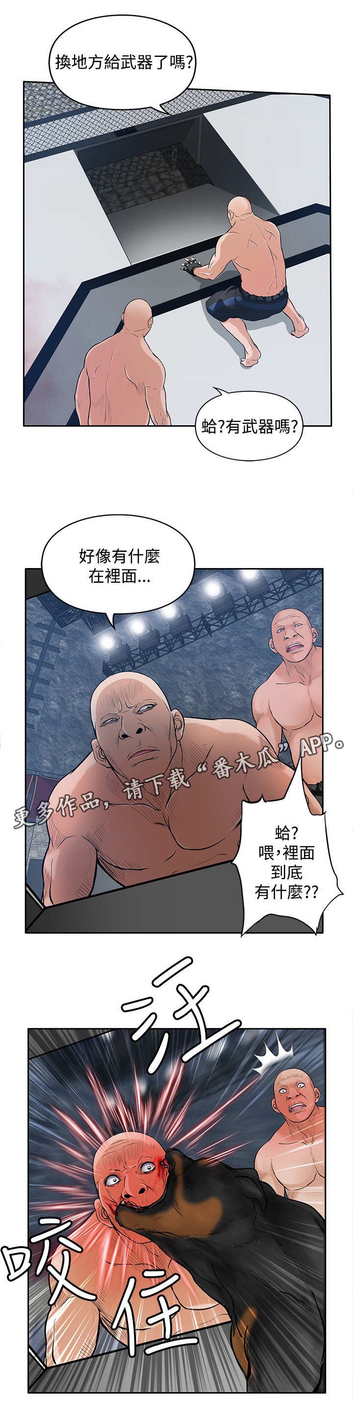 第41章：疯狗