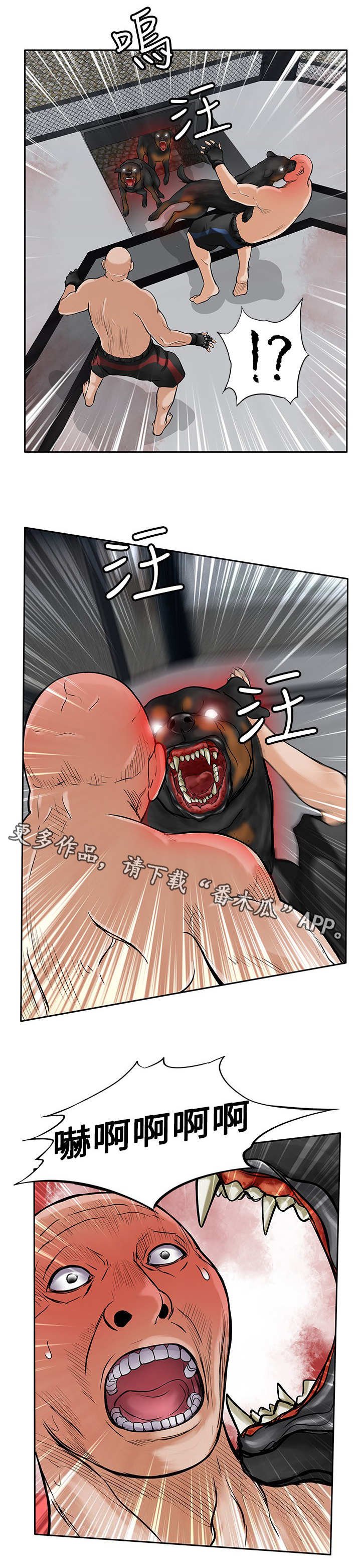 第41章：疯狗